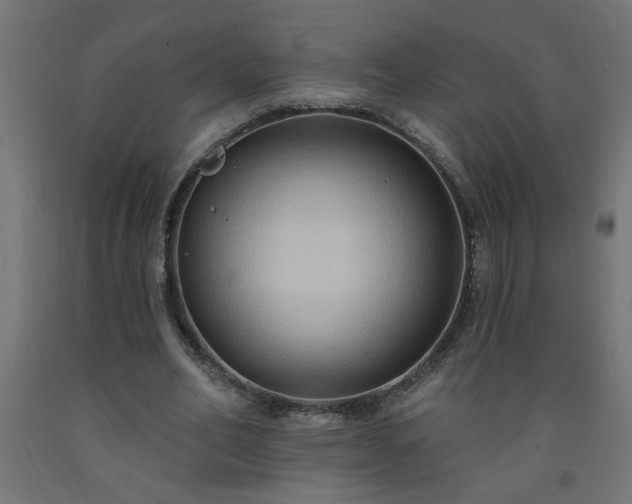 X0000093250582200710031606