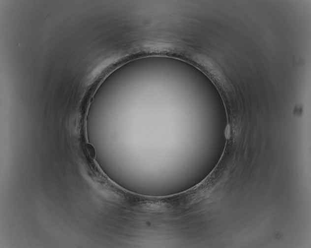 X0000093250583200710031606