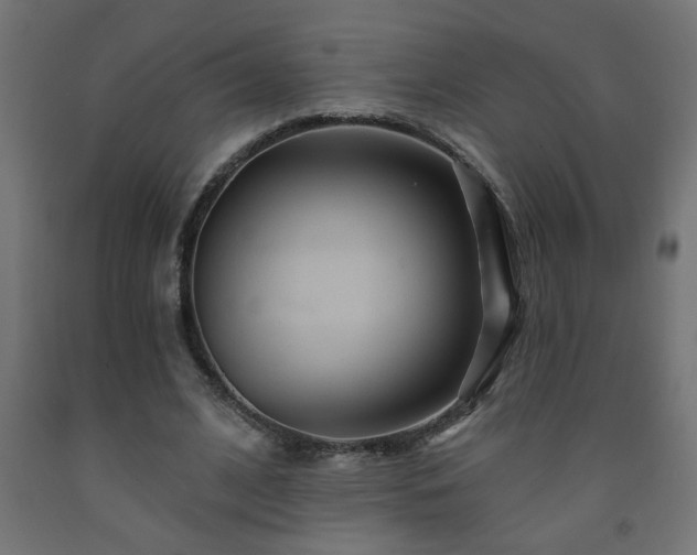 X0000093250584200710031606