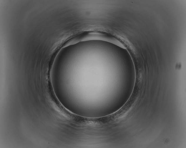 X0000093250585200710031606