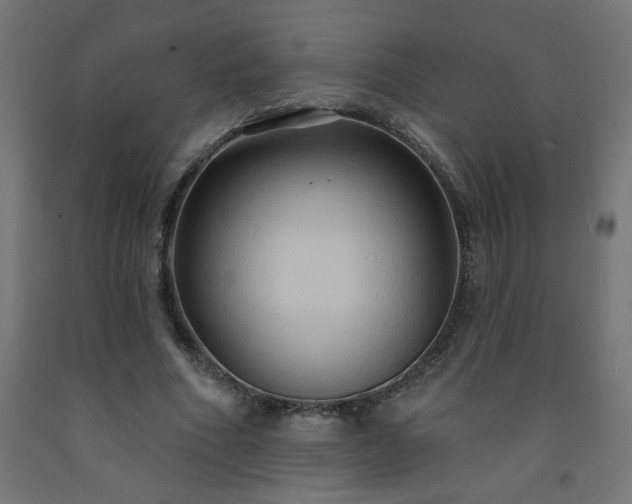 X0000093250586200710031606