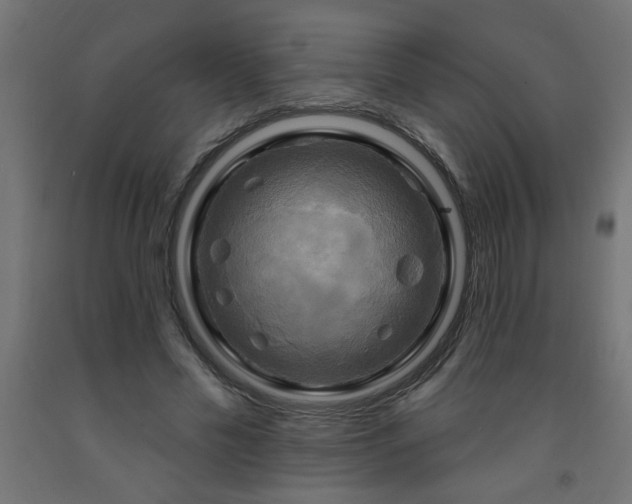 X0000093250589200710031606