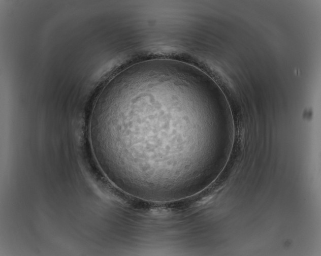 X0000093250591200710031606