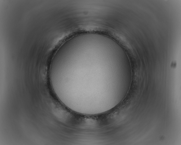 X0000093250592200710031606