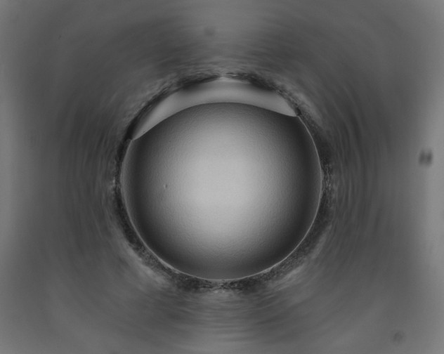 X0000093250593200710031606