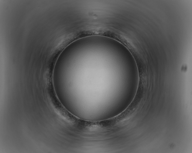 X0000093250594200710031606