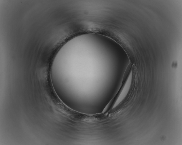 X0000093250595200710031606