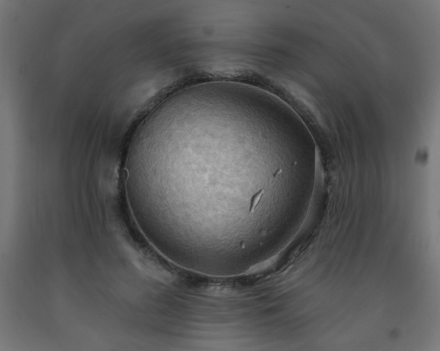 X0000093250596200710031606