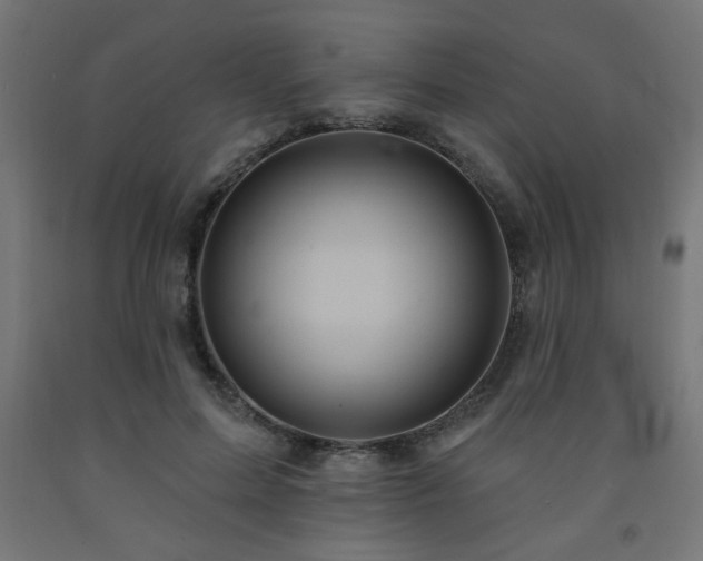 X0000093250599200710031605