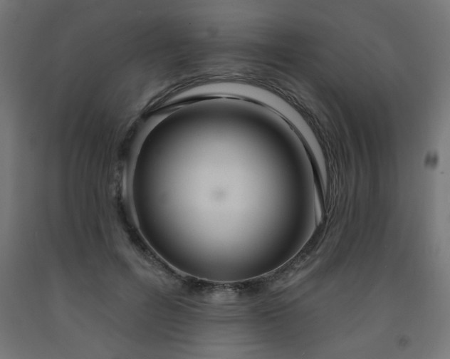 X0000093250600200710031605