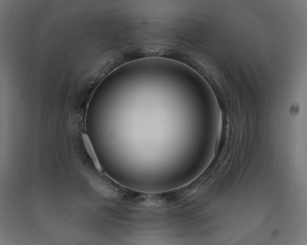 X0000093250601200710031605