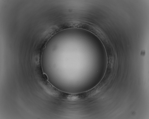 X0000093250602200710031605