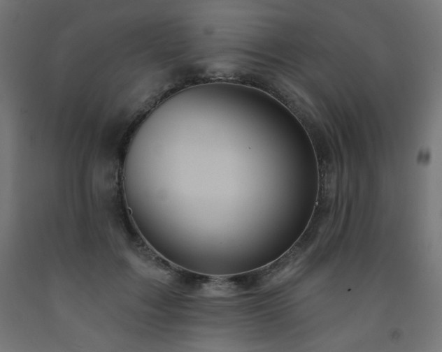 X0000093250603200710031605