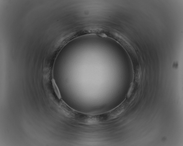 X0000093250604200710031605