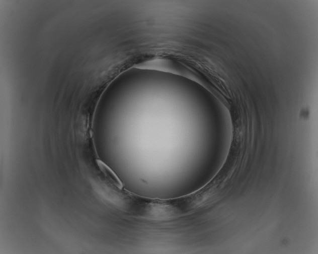 X0000093250605200710031605