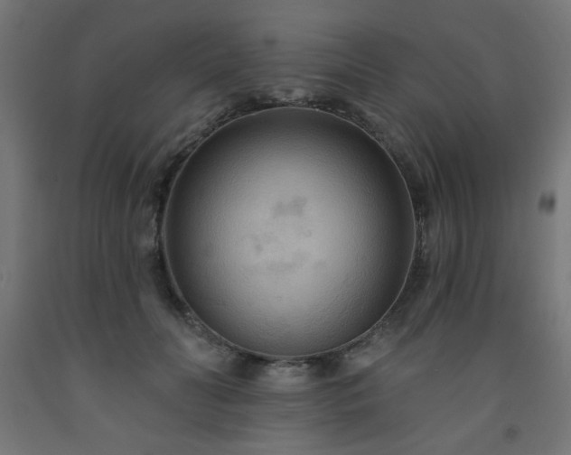 X0000093250606200710031605