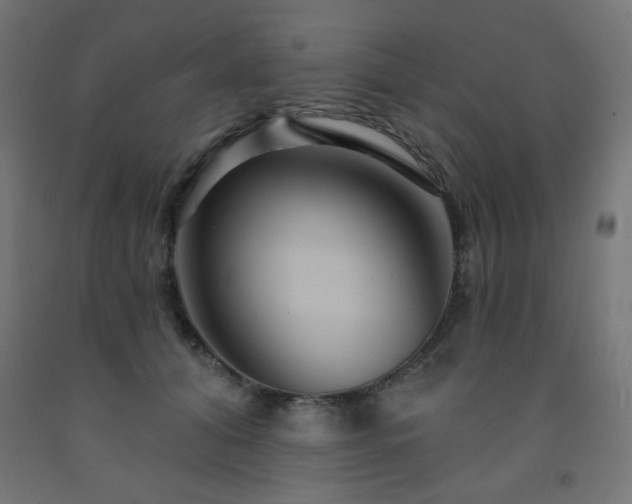 X0000093250608200710031605