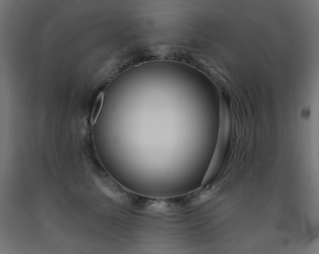 X0000093250611200710031605