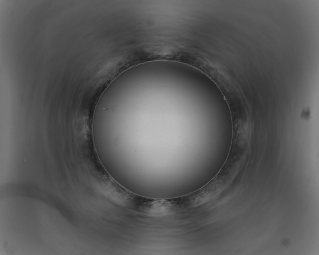 X0000093250612200710031605