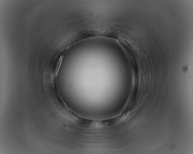 X0000093250613200710031605