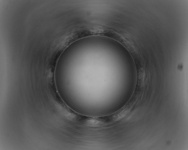 X0000093250614200710031605