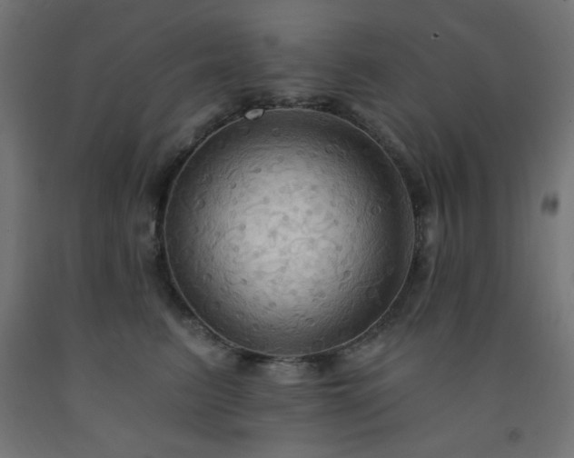 X0000093250615200710031605