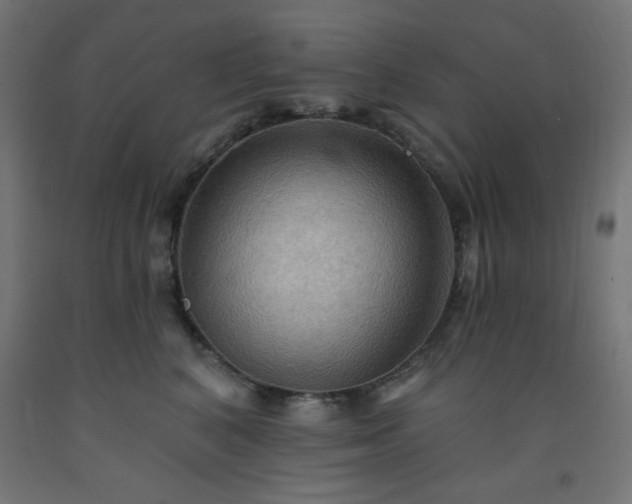 X0000093250616200710031605