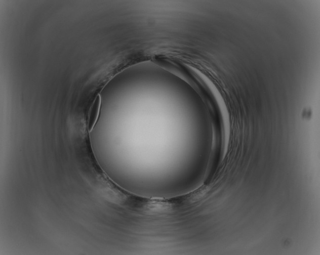 X0000093250617200710031605