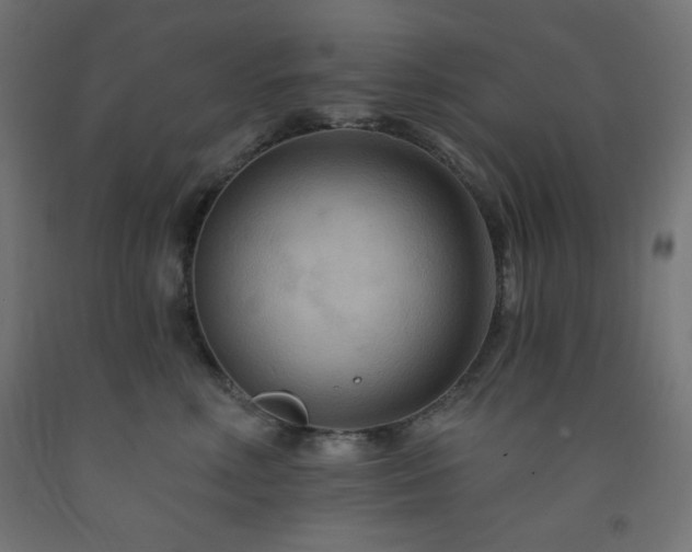 X0000093250618200710031605