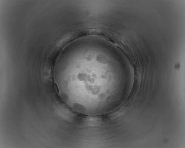 X0000093250619200710031605