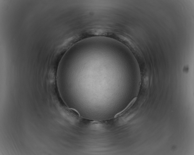 X0000093250620200710031605