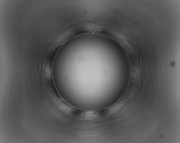 X0000093250622200710031605