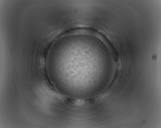 X0000093250623200710031605