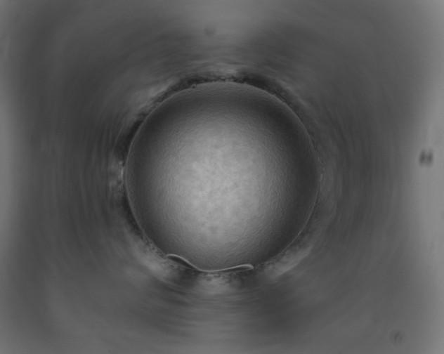 X0000093250624200710031605