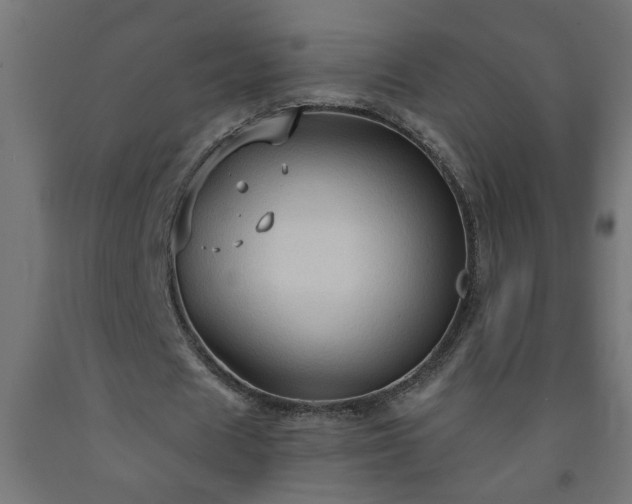 X0000093250625200710031605