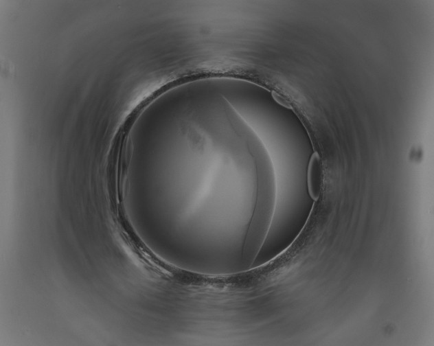 X0000093250626200710031605