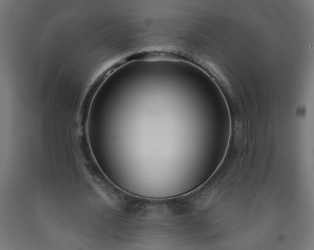 X0000093250628200710031605