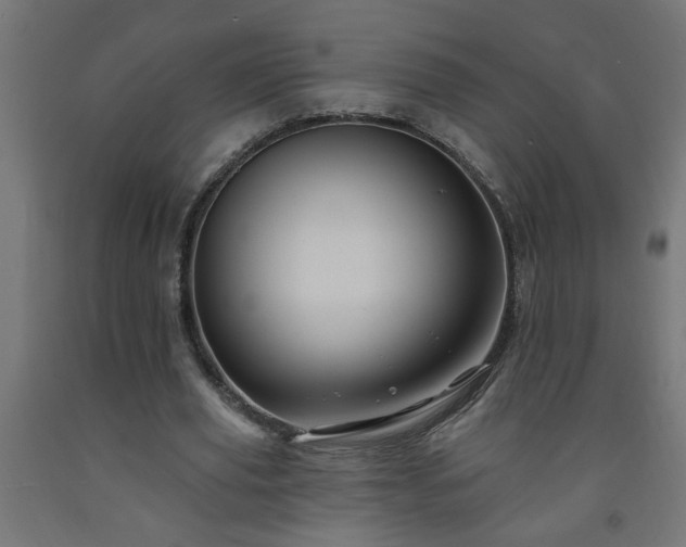 X0000093250629200710031605