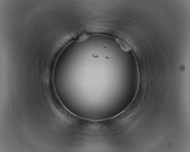 X0000093250631200710031605