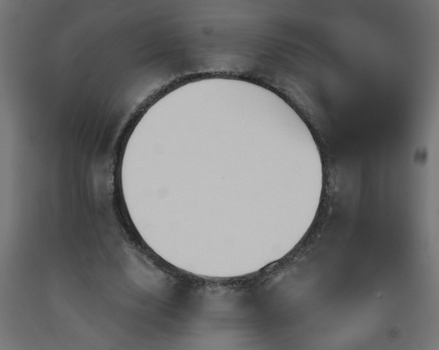 X0000093250632200710031605