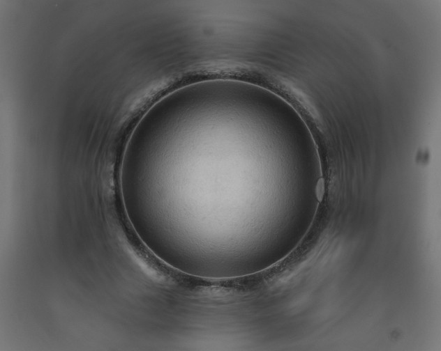 X0000093250633200710031605