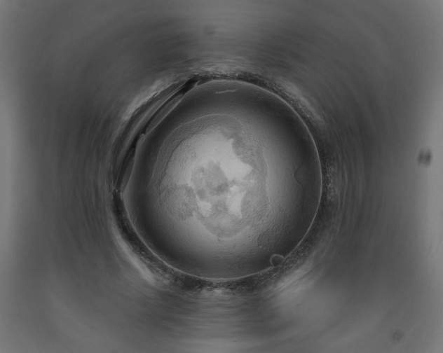 X0000093250634200710031605