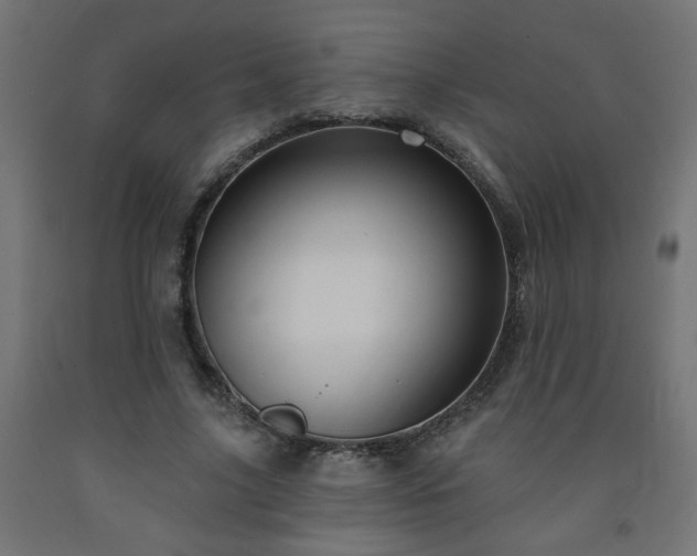 X0000093250635200710031605