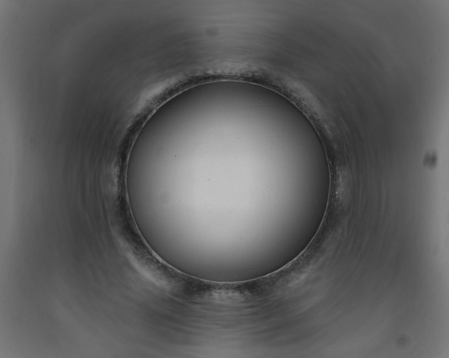 X0000093250636200710031605