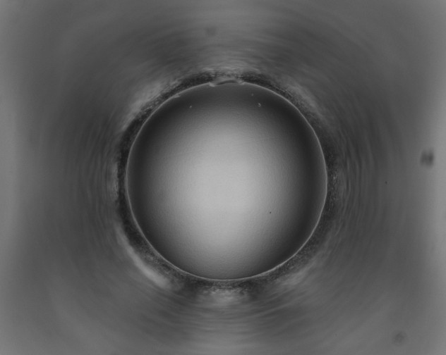 X0000093250638200710031605