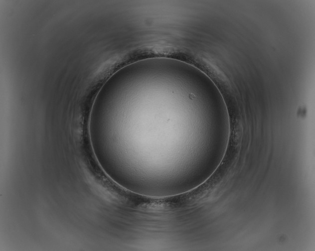 X0000093250639200710031605