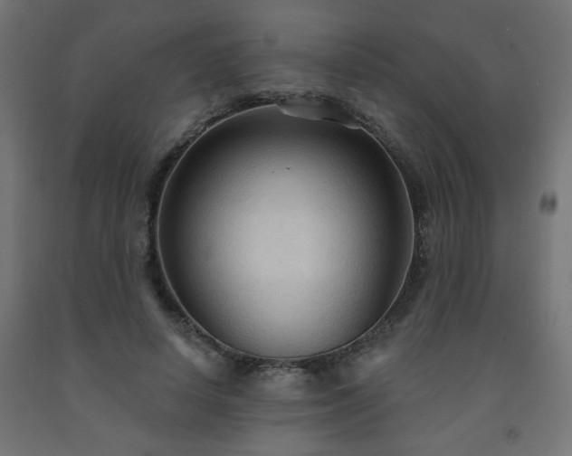 X0000093250642200710031605