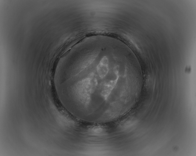 X0000093250643200710031605