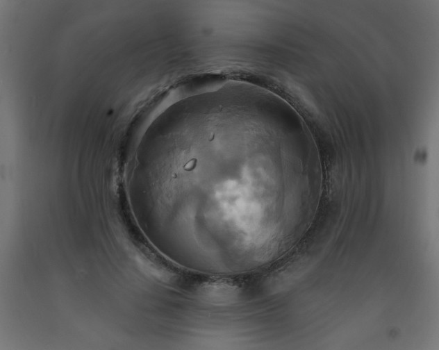 X0000093250644200710031605