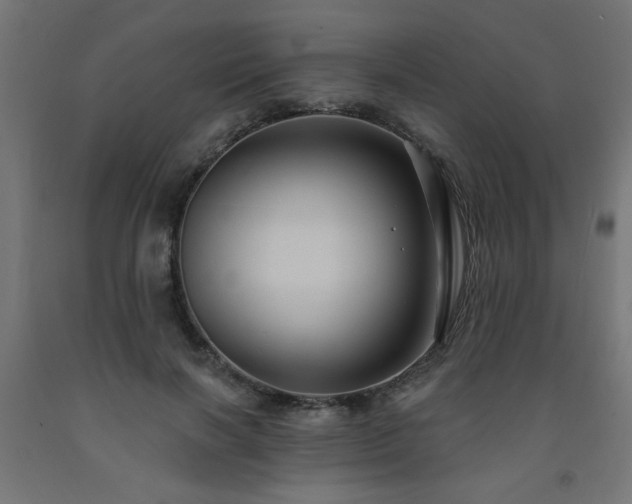 X0000093250646200710031605